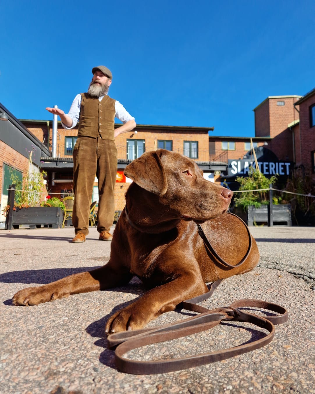 Söt hund med färgmatchat halsband och koppel